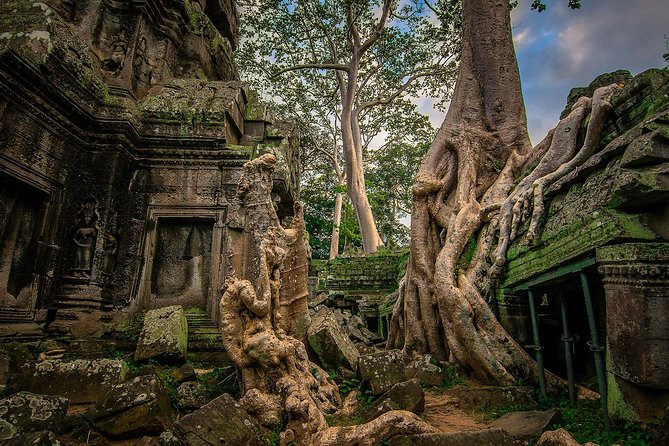 1-Day Amazing Angkor Wat Tour with Sunset & All Interesting Major Temples - Ta Prohm and the power of the trees