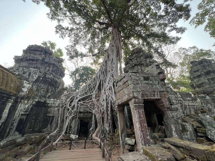 1-Day Angkor Wat Private Tour with Spanish Tour Guide. - Royal and ceremonial spaces near Bayon