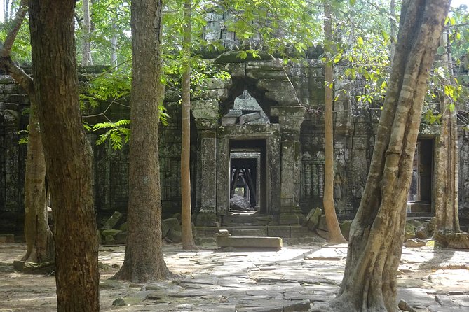 1-Day Angkor Wat Sunrise & All Interesting Temples Private Tour - Ta Nei offers a quieter change of pace