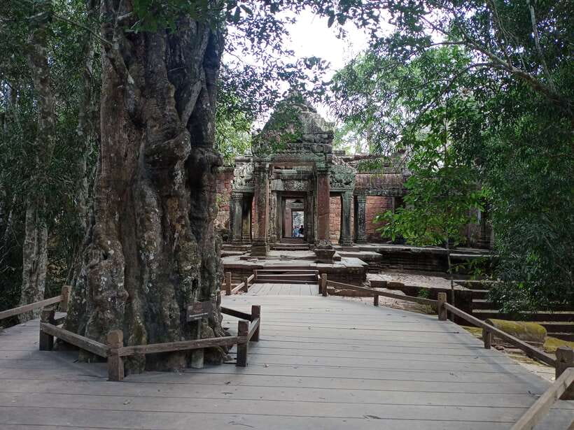 1-Day private Angkor Temple Tour from Siem Reap - The South Gate and the road into Angkor Thom