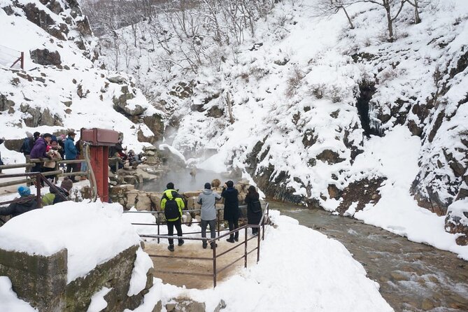 1-Day Snow Monkeys, Zenko-ji Temple & Sake in Nagano - What the transport and timing mean for you