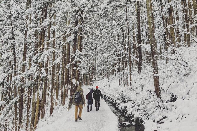 1-Day Snow Monkeys, Zenko-ji Temple & Sake in Nagano - Winter conditions deserve serious attention