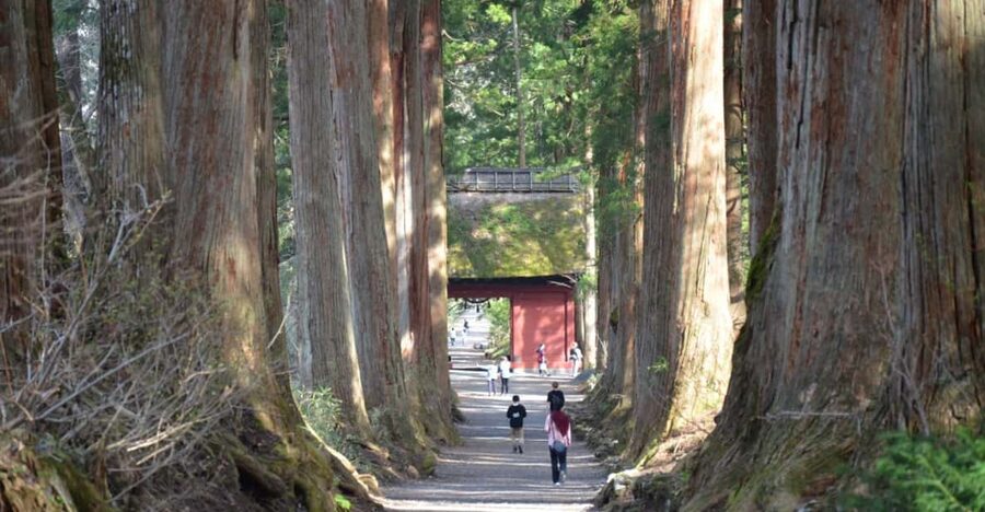 1-Day Togakushi: Soba making, Ninja Town and Hidden Shrines - The Togakure ninja story and the Trick Mansion