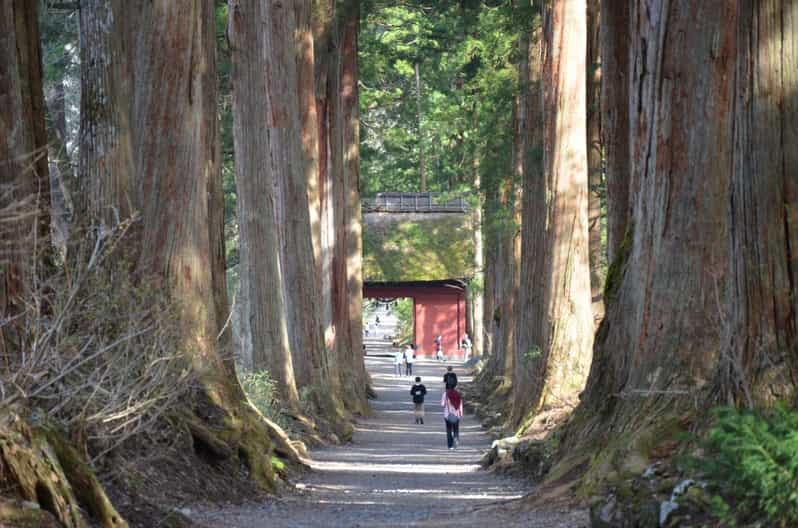 1-Day Togakushi: Soba making, Ninja Town and Hidden Shrines - A short shrine visit before the main walk