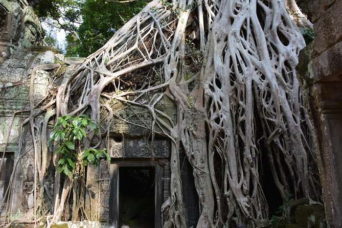 2-Day Angkor Wat Tour from Bangkok - The hotel night and included breakfast