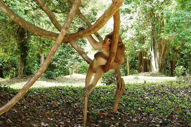 2-Day Angkor Wat Tour from Bangkok - Angkor Wat before the heat