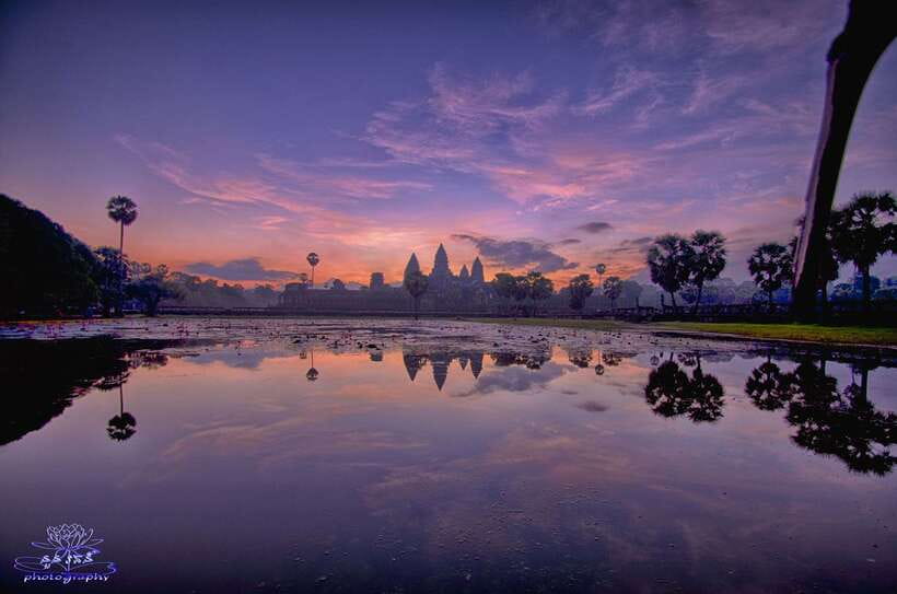 2-Day Angkor Wat With Small, Big Circuit & Banteay Srei Tour - Ta Prohm brings the jungle into the story