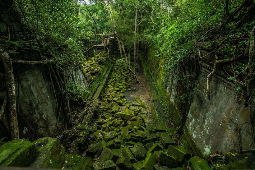 3-Day Angkor Wat & All Interesting Temples With Beng Mealea - Ta Prohm and the temples where nature takes over