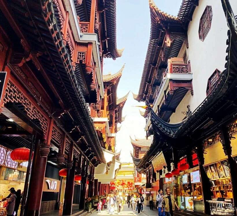 4-Hour Shanghai Best Garden and Temple Tour with Tea Tasting - Who will get the most from this tour?