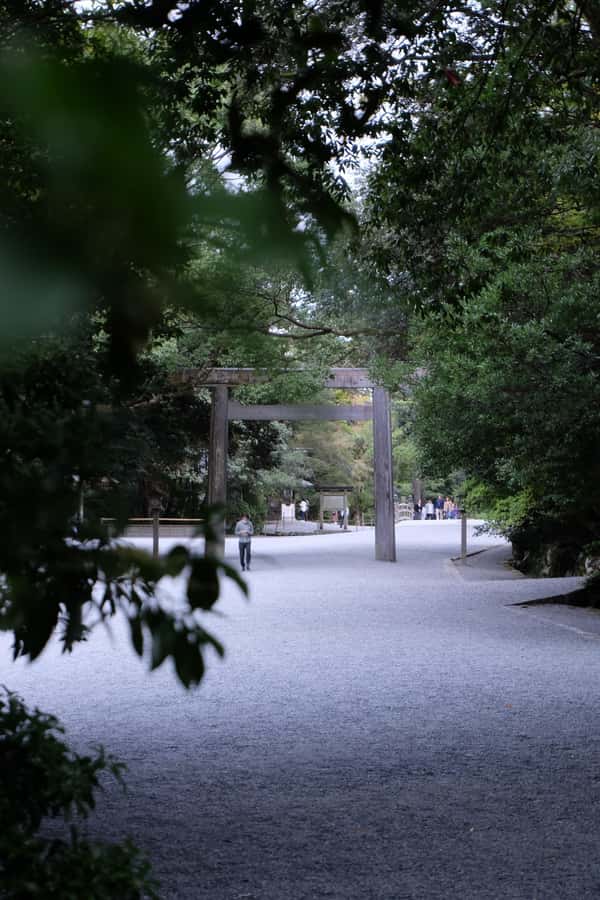 A trip to visit Ise Grand Shrine and experience Ama culture - Ise Grand Shrine: start with Japan’s spiritual center