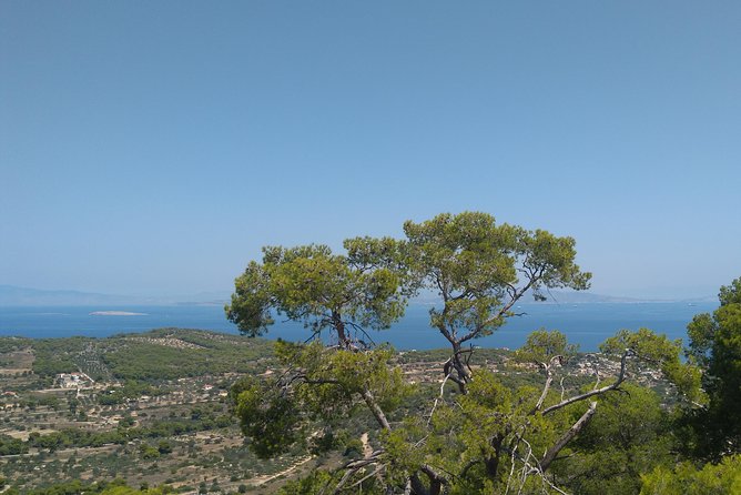 Aegina Island St Nektarios & Temple of Athina Aphaia Private Tour - From your Athens hotel to Aegina’s waterfront