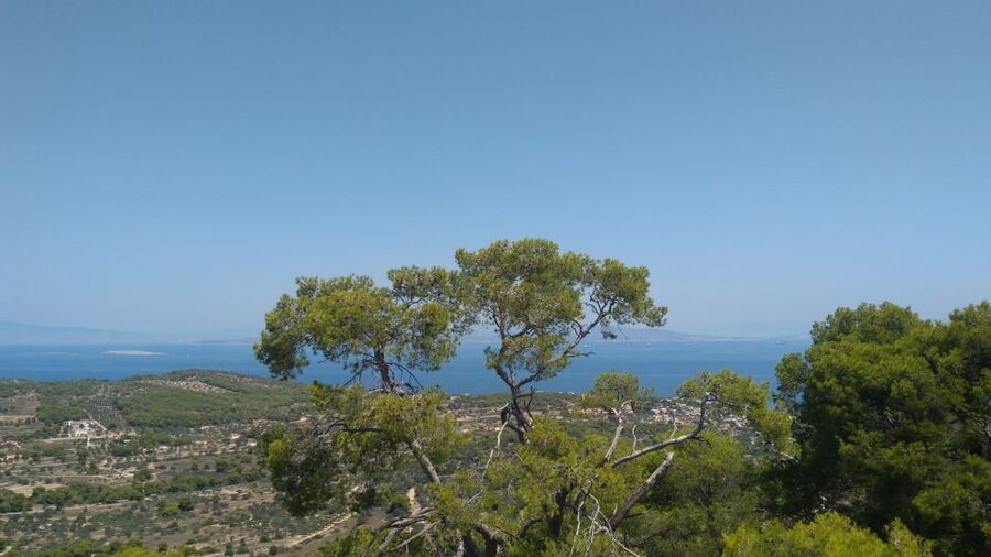 Aegina Island & Temple of Athina Aphaia Private Day Tour - Who should book this Aegina trip?