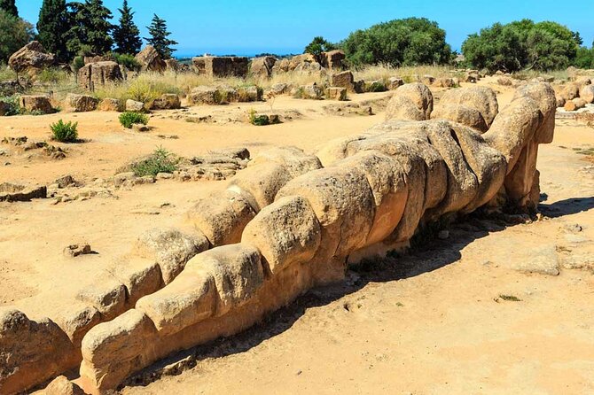 Agrigento and Valley of the Temples Day Trip from Palermo - Who should book this day trip?