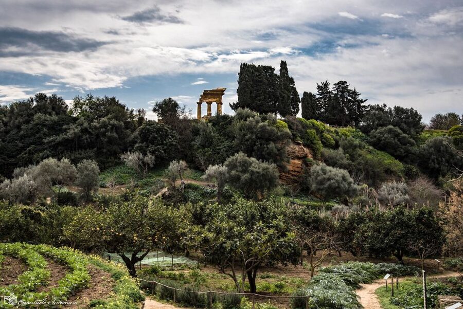 Agrigento Valley of the Temples and Kolymbethra Private Tour - The people behind ancient Akragas