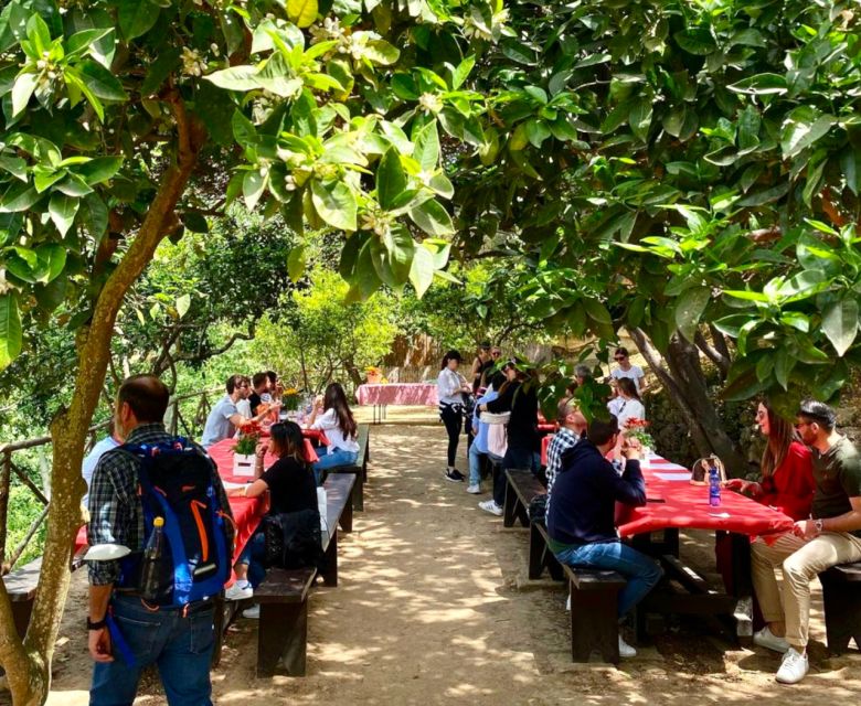 Agrigento: Valley of the Temples Gardens Picnic Experience - Should you book the Kolymbethra picnic?