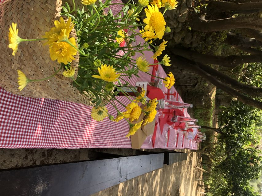 Agrigento: Valley of the Temples Gardens Picnic Experience - A personal welcome from the host