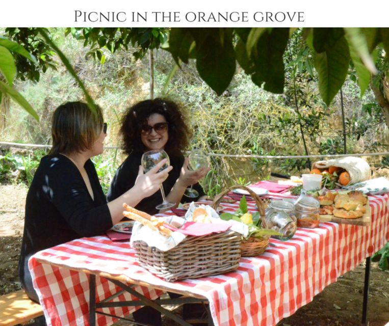 Agrigento: Valley of the Temples Gardens Picnic Experience - How much value does the experience offer?