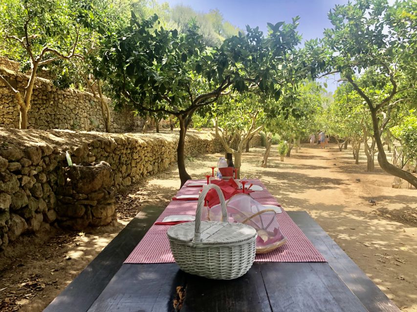 Agrigento: Valley of the Temples Gardens Picnic Experience - Who should book this garden picnic?