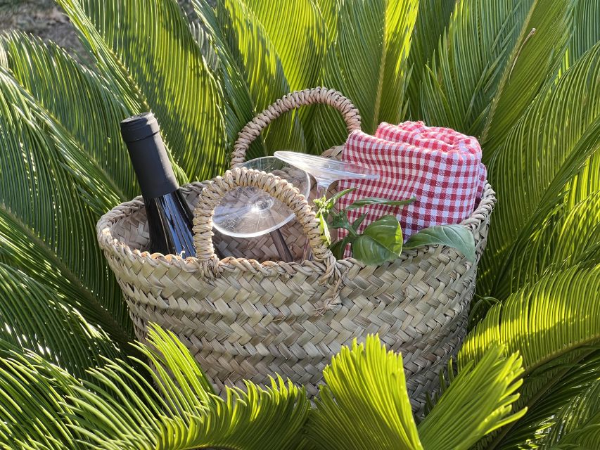 Agrigento: Valley of the Temples Gardens Picnic Experience - Practical details before you book