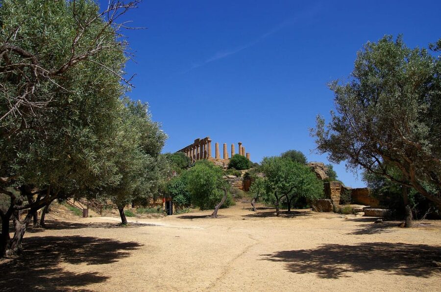 Agrigento: Valley of the Temples Private Archeological Tour - Imagining the Temple of Olympian Zeus