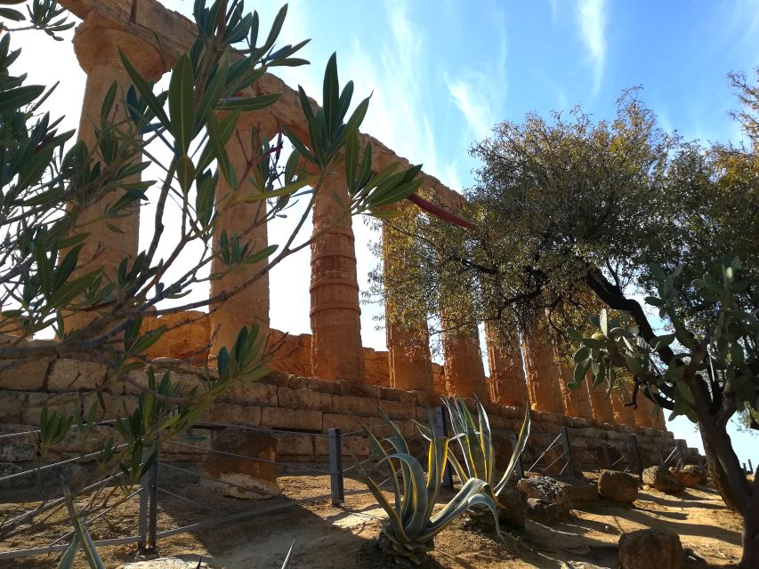 Agrigento: Valley of the Temples Private Tour - What the private format adds