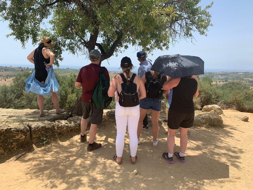 Agrigento: Valley of the Temples Tour Skip-the-Line Entry - Price and practical value at $54.66