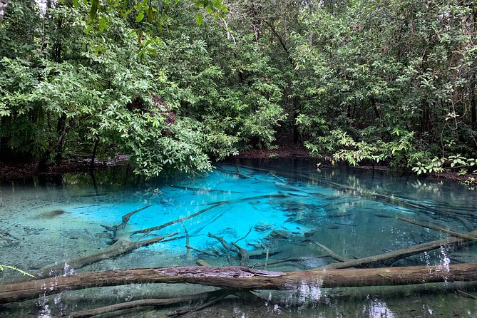 All day Krabi Jungle Tour (Hot Spring Water, Emerald Pool, Tiger Cave Temple) - Tiger Cave Temple and the 1,260-step decision