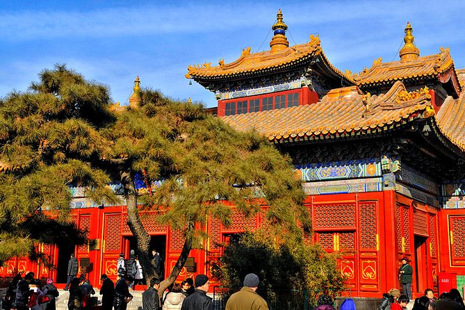 All-inclusive Private Day Trip: Hutongs, Lama Temple & Panda House with Lunch - Lunch, dietary needs, and the pace of the day