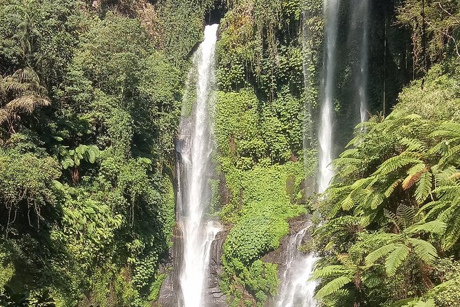All Inclusive Sekumpul Waterfall Trekking , Handara Gate & Temple - Who will enjoy this day most