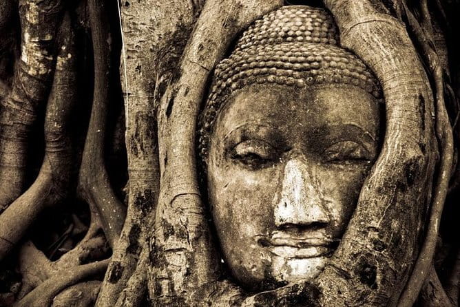 Ancient City & Temples of Ayutthaya ( UNESCO ) by River Cruise with Buffet Lunch - Wat Mahathat and the Buddha among the roots