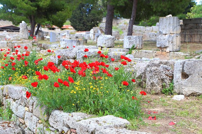 Ancient Corinth & Nafplion One-Day Tour from Athens - Ancient Corinth and the Temple of Apollo