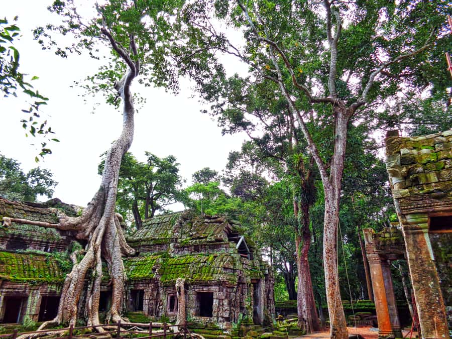 Angkor Region: 3-day Private Tour of Top Temples - Pace, clothing, and mobility