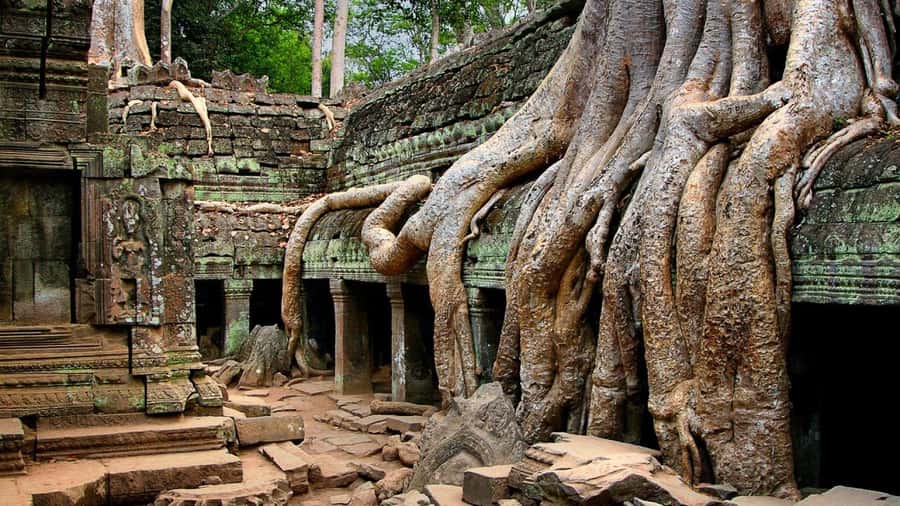 Angkor Region: 3-day Private Tour of Top Temples - Day one: Beng Mealea and Kampong Phluk
