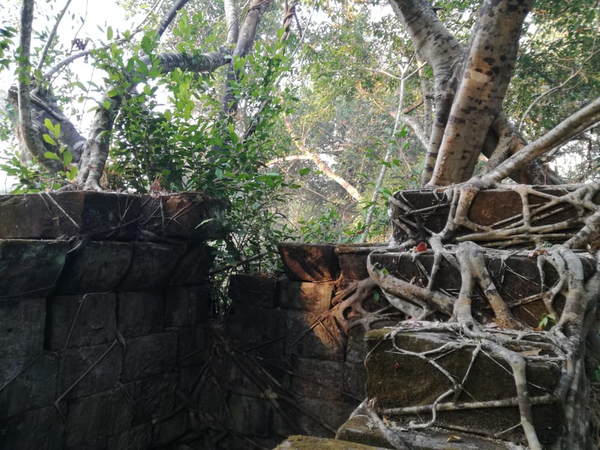 Angkor Temples Highlights Tour: 2 Days with Sunrise - Beng Mealea needs a clear answer before you pay