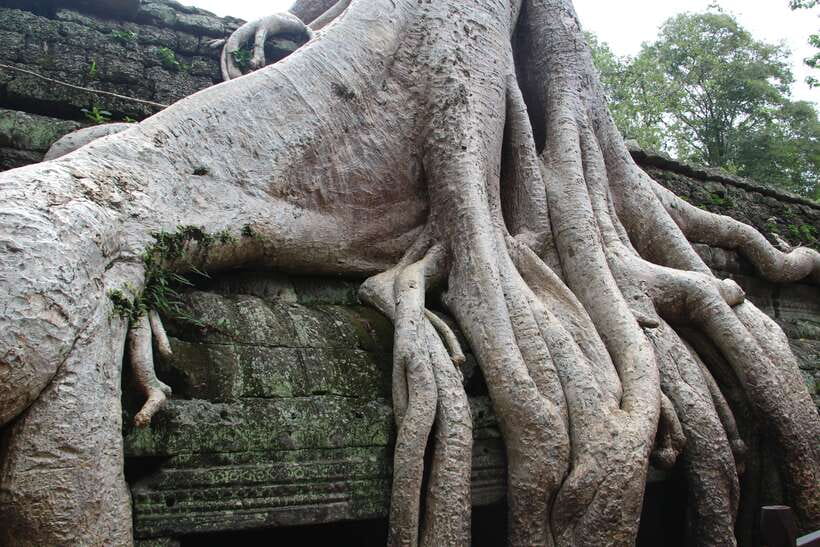 Angkor Wat Full-Day Private Tour with Sunset - Angkor Wat from 1:30 PM