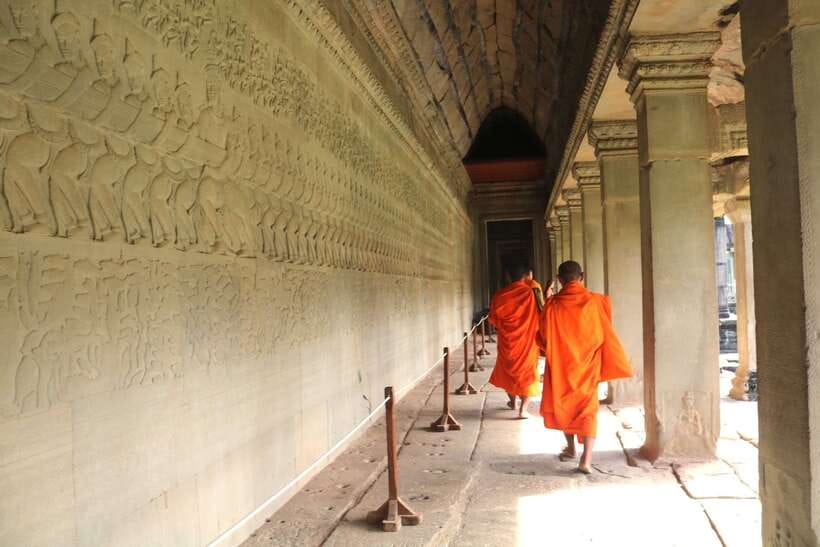 Angkor Wat: Highlights and Sunrise Guided Tour - Ta Prohm and the power of the trees