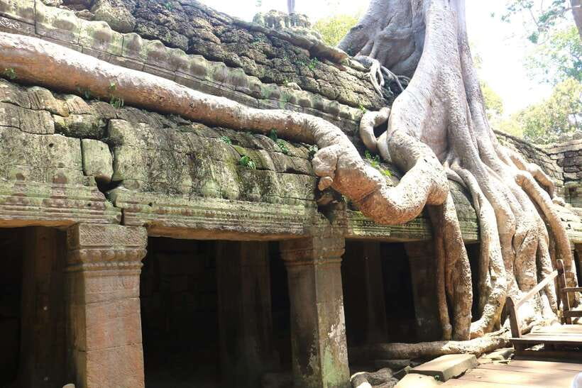Angkor Wat: Highlights and Sunrise Guided Tour - The guide and driver make the difference