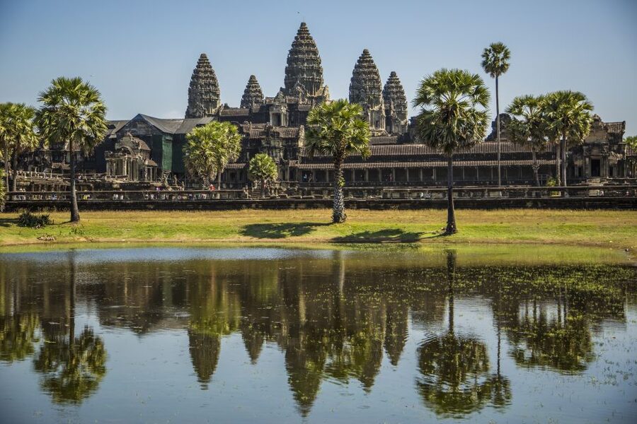 Angkor Wat in a vintage Jeep with driver - jeep rental - Ta Prohm, the temple of trees