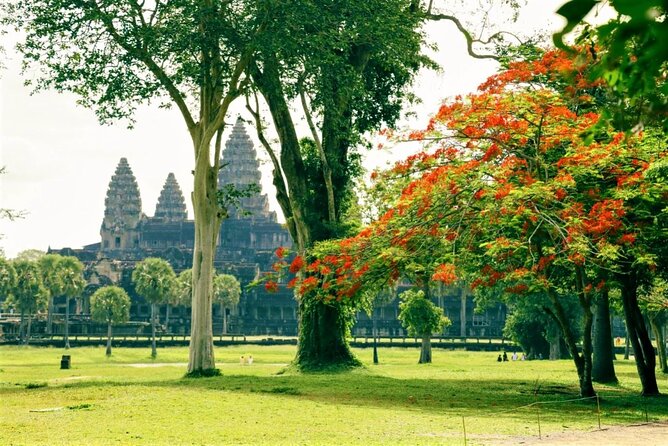 Angkor Wat one Day Private Tour for All Highlight Angkor Temples - Ta Nei offers a quieter change of mood