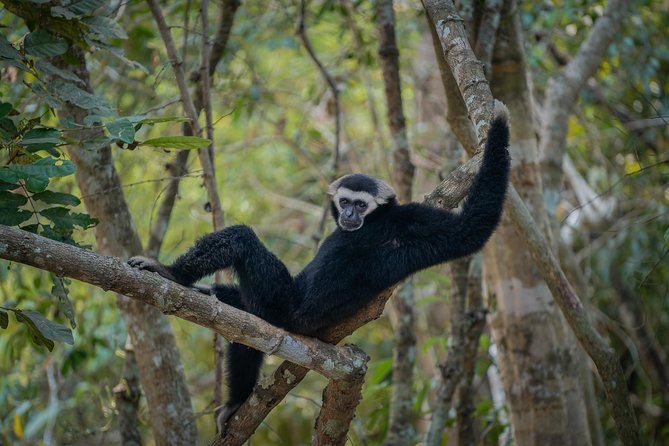 Angkor Wat Park Zip Line Adventure in Siem Reap - What the three-hour adventure feels like