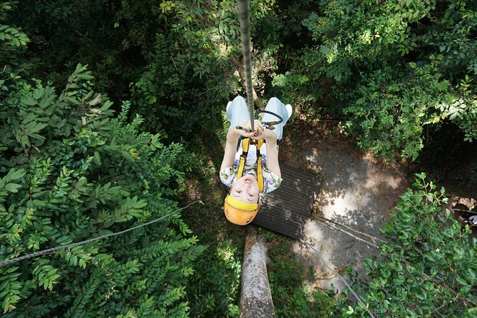 Angkor Wat Park Zip Line Adventure in Siem Reap - Silver Course or Gold Course?