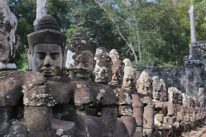 Angkor Wat Private Tuk-Tuk Tour (sunrise Option) & more - Ta Prohm and the power of nature