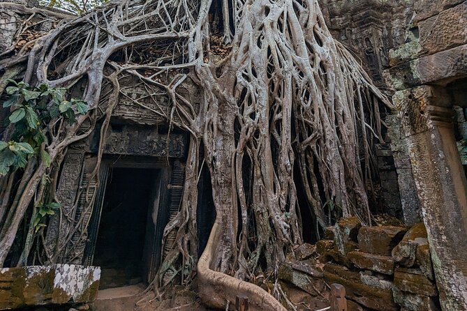 Angkor Wat Private Tuk-Tuk Tour (sunrise Option) & more - Banteay Kdei and a note about the itinerary