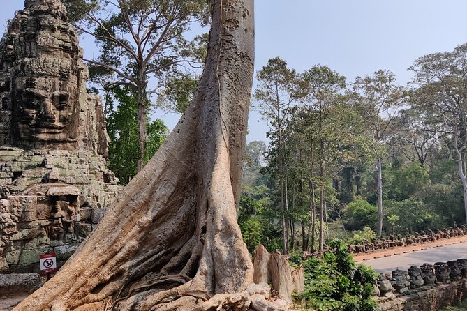 Angkor Wat Private Tuk-Tuk Tour (sunrise Option) & more - Guide or driver, know the difference