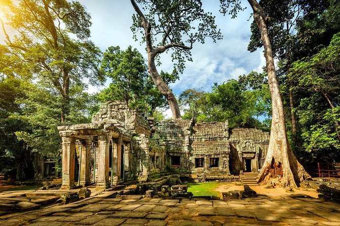 Angkor Wat Small-Group Exploration with Expert Guide - Transport, shade, and the practical value of comfort