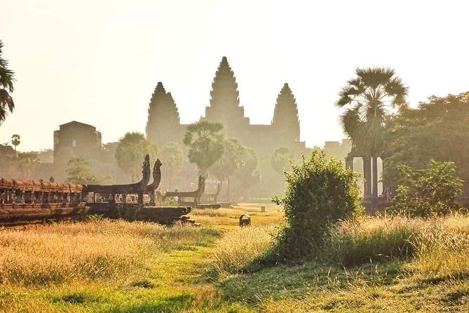 Angkor Wat Small-Group Exploration with Expert Guide - What makes the guides valuable