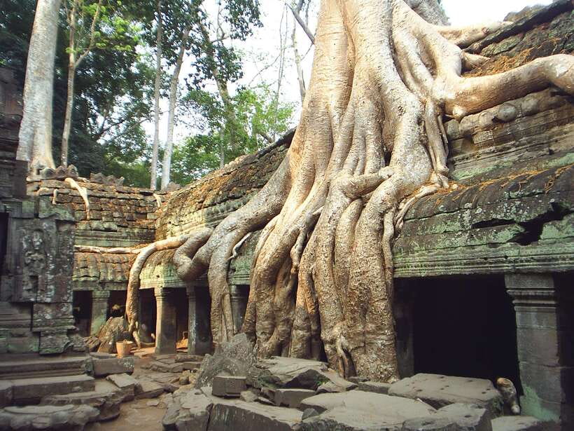 Angkor Wat: Small-Group Tour with Balloon Ride and Lunch - Starting early, with the Angkor Pass still to buy