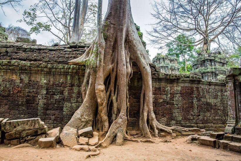 Angkor Wat Small Tour Sunrise With Private Tuk Tuk - Water, heat, and the long eight-hour day