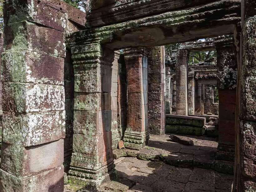 Angkor Wat Small Tour With Private Tuk Tuk - Ta Prohm is one of the day’s main draws