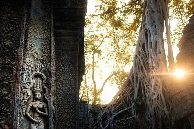 Angkor Wat Sunrise & 3 Main Temples with Breakfast – Small Group - Ta Prohm, roots, and memorable photographs